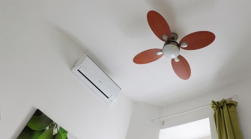 Termini Gold Guesthouse image 5